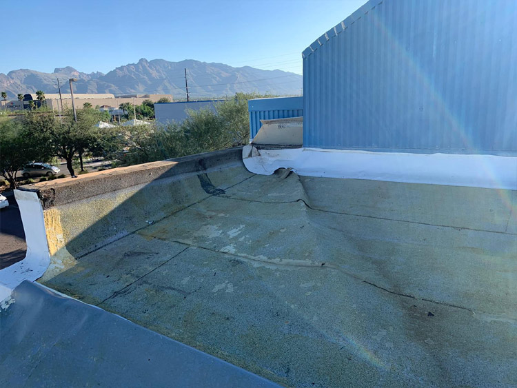 WhatsApp Image 2023-12-22 at 11.24.22 AM (2)